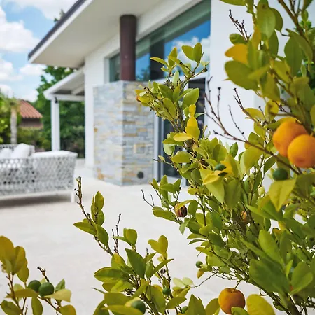 Βίλα Mulberry Garden By Interhome
